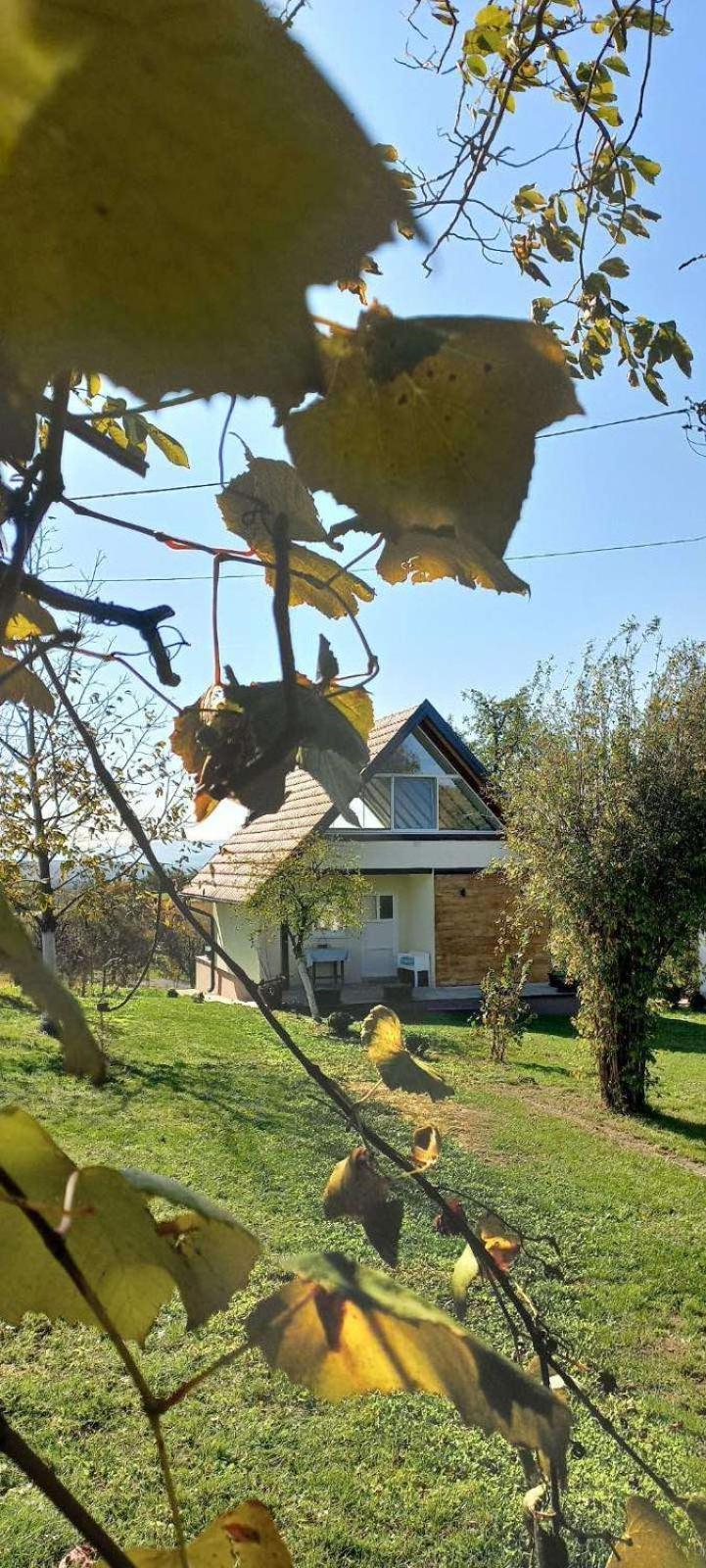 Ferienhaus Vikendica Zivkovic Lazarevac