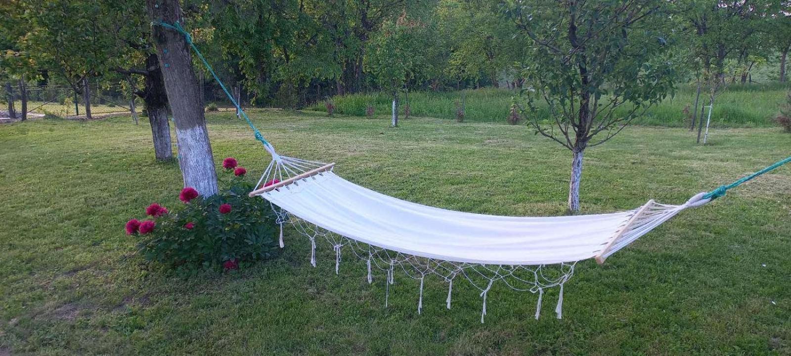 Vikendica Zivkovic Ferienhaus Lazarevac